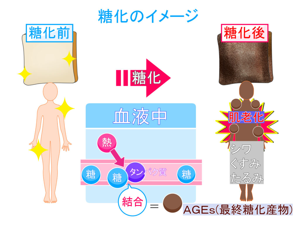 糖化とは?