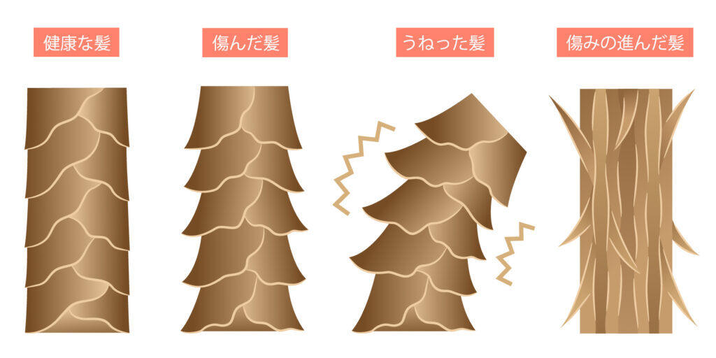 髪のツヤ・ハリの低下